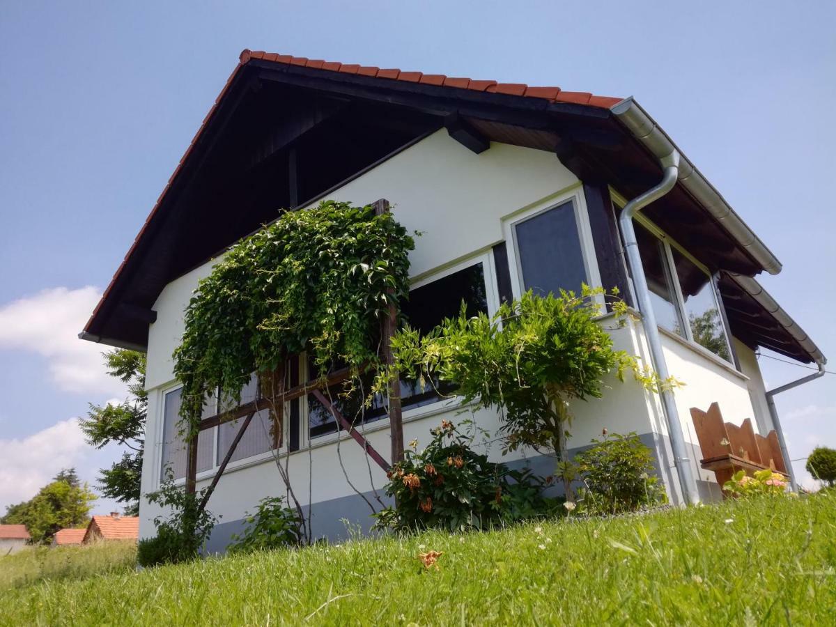 Vila Kuca Za Odmor ,,Oletic 2" Sveti Martin Na Muri Exteriér fotografie